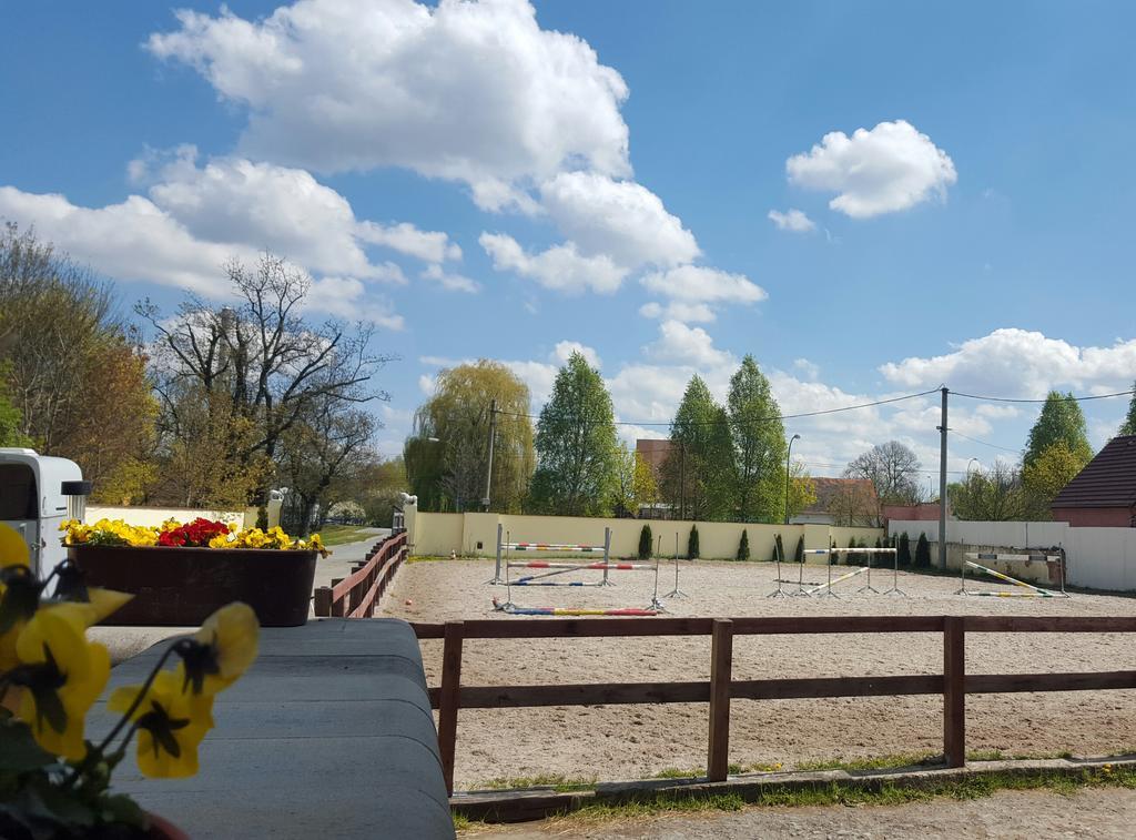 Farm Stay Nh Stables Nyrany Luaran gambar