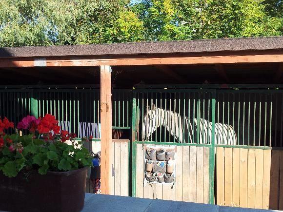 Farm Stay Nh Stables Nyrany Luaran gambar
