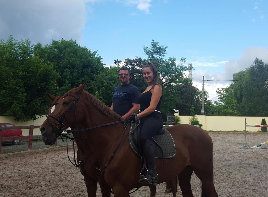 Farm Stay Nh Stables Nyrany Luaran gambar